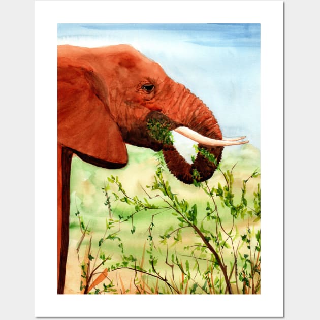 Wrinkles, Elephant Snacking Wall Art by MMcBuck